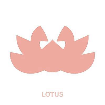 EPS 해외이미지 웰빙 디자인 꽃잎 꽃 행복 선 백그라운드 잎 신체 일러스트 요가 자연 해바라기 새로움 건강 연꽃 물 세트 장미 스파 중국 봄 튤립 벚꽃 흰색 마음 연못 발표 부채 플랫 백합 심볼 명상 심플 윤곽 해외일러스트 자연요소 식물 계절 감정 아시아 컬러 컨셉 생태계 파일형식 벡터 이미지허브