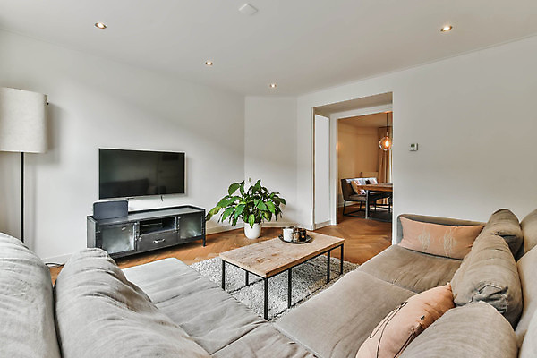 포토 JPG 해외이미지 화분 거실 탁자 실내 사람없음 인테리어 소파 텔레비전 카펫 심플 거실장 해외포토 디자인 가구 의자 내부 전자제품 파일형식 이미지허브