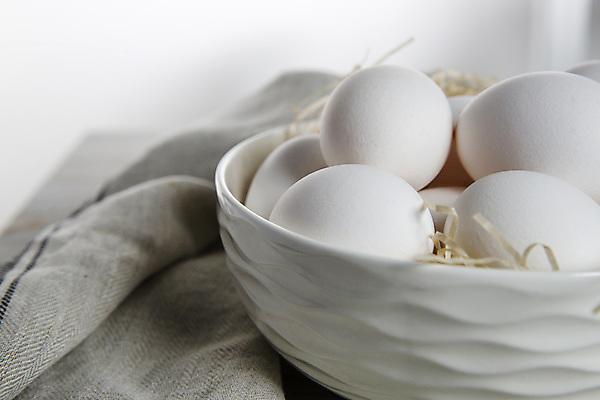 포토 JPG 해외이미지 그릇 실내 사람없음 계란 담기 해외포토 식기 모션 내부 알 파일형식 이미지허브