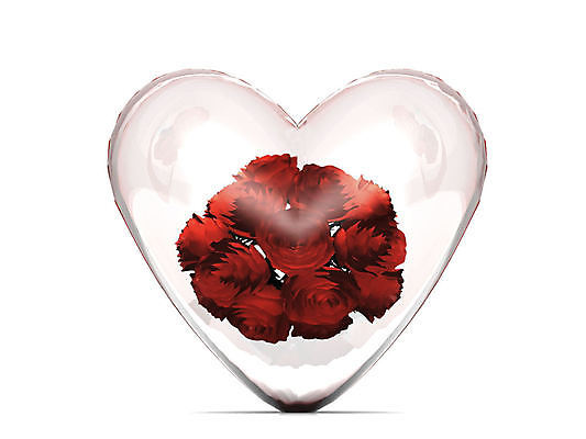 포토 JPG 해외이미지 모양 식물 디자인 기념일 꽃잎 꽃 행복 꽃다발 꽃무늬 일러스트 자연 결혼식 기념 발렌타인데이 선물 사랑 사람없음 장식 빨간색 뷰티 장미 낭만 흰색 하트 축하 심볼 열정 해외일러스트 감정 컬러 결혼 컨셉 무늬 데이이벤트 이벤트 생태계 파일형식 이미지허브