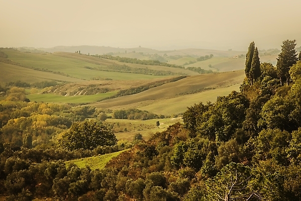 포토 JPG 해외이미지 주간 사람없음 야외 일몰 숲 해외포토 자연요소 노을 파일형식 이미지허브