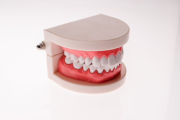 포토 JPG 해외이미지 치과 병원 미소 동양인 사람없음 치료 금속 중국 환자 의사 최고 도자기 입 가르침 치아 가득함 치과의사 보여주기 턱 틀니 돌봄 보철 치아교정 해외포토 교육 아시아 의학 모션 재질 표정 인종 신체부위 의료진 소화기관 교정 파일형식 이미지허브