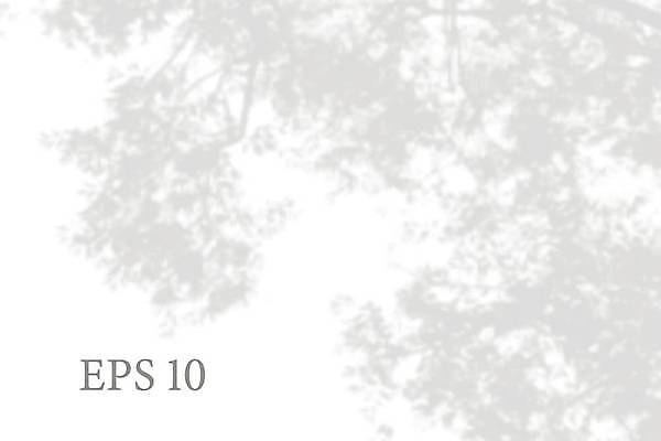 EPS 해외이미지 백그라운드 잎 일러스트 그림자 사람없음 그늘 블러 블러효과 해외일러스트 식물 파일형식 벡터 효과 이미지허브