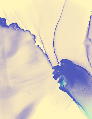 포토 JPG 해외이미지 템플릿 손 디자인 포스터 벽 파도 분홍색 결혼 백그라운드 이동 패턴 일러스트 벽지 추상 미래 잉크 동양인 경사 사람없음 장식 노란색 유행 우주 페인트 낭만 흐름 얼룩 신용카드 액체 떨어짐 매끈함 그림 질감 캔버스 대리석 부드러움 유니콘 파스텔톤 해외일러스트 바다 컬러 컨셉 무늬 재료 인종 이벤트 신체부위 금융 감각 파일형식 이미지허브