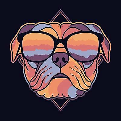 EPS 해외이미지 일러스트 사람없음 컬러풀 선글라스 심볼 퍼그 해외일러스트 안경 컬러 개 파일형식 벡터 이미지허브