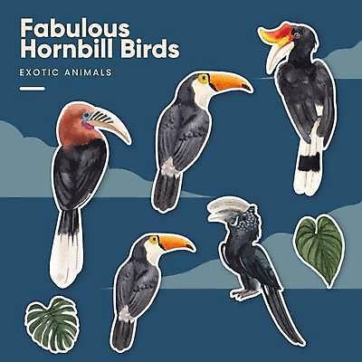 EPS 해외이미지 스티커 여러마리 일러스트 조류 사람없음 손그림 몬스테라 엘리먼트 열대잎 큰부리새 토코투칸 해외일러스트 식물 동물 다수 잎 파일형식 벡터 이미지허브