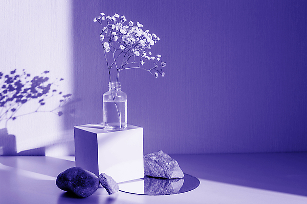 포토 JPG 해외이미지 모양 식물 디자인 꽃 종이 백그라운드 컨셉 꽃무늬 자연 추상 휴가 해바라기 건조 그림자 사람없음 숫자 우주 봄 거울 벚꽃 신용카드 배열 제비꽃 큐브 질감 레이아웃 정사각형 심플 기하학 직사각형 내추럴 구성 정물화 파스텔톤 카피스페이스 미니멀리스트 미니멀 해외포토 도형 문자 계절 컬러 무늬 금융 공백 그림 생태계 파일형식 이미지허브