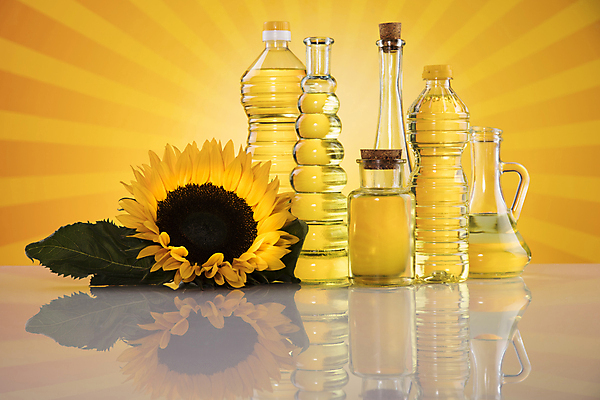 포토 JPG 해외이미지 잎 유리병 해바라기 실내 사람없음 반사 다양 식용유 올리브오일 코르크 노란배경 오일병 카놀라 해바라기씨유 해외포토 식물 꽃 다수 백그라운드 병_용기 내부 노란색 기름_음식 파일형식 이미지허브