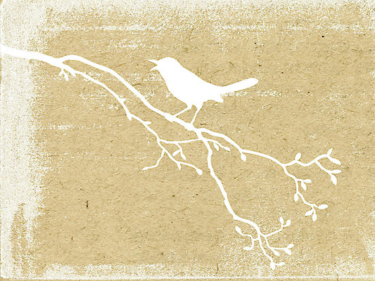 포토 JPG 해외이미지 나무 동물 디자인 종이 백그라운드 패턴 자연 조류 표면 추상 프레임 사람없음 목재 책 물 노란색 쪽지 공백 손상 수확 골동품 나뭇가지 점 얼룩 거친 균열 실 질감 문서 복고 먼지 페이지 고정 찢어짐 구식 그런지 보관소 세피아 양피지 옛날 원고 노화 해외포토 자연요소 식물 컬러 컨셉 무늬 농업 재료 모션 촬영기법 저장 생태계 파일형식 이미지허브