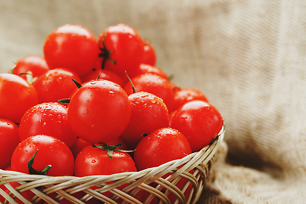 포토 JPG 해외이미지 토마토 방울토마토 실내 사람없음 바구니 물방울 삼베 가득함 담기 해외포토 채소 모션 내부 파일형식 천_직물 이미지허브