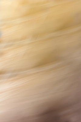 포토 JPG 해외이미지 디자인 물결 선 모래 벽 파도 백그라운드 패턴 자연 벽지 표면 추상 바닥 건조 경사 사람없음 장식 모래사장 노란색 우주 흙 공백 회색 사막 수확 거친 작음 모래언덕 묘사 웨이브 먼지 진흙 스크래치 사암 내추럴 그런지 땅바닥 생태학 옛날 노화 효과 해외포토 교육 바다 컬러 컨셉 무늬 농업 돌_바위 크기 언덕 생태계 파일형식 이미지허브