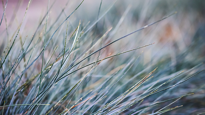 포토 JPG 해외이미지 주간 사람없음 야외 아웃포커스 해외포토 자연요소 촬영기법 파일형식 이미지허브