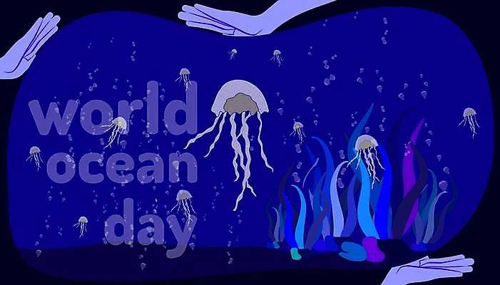 EPS 해외이미지 동물 디자인 호수 야생동물 바다 백그라운드 일러스트 자연 불가사리 어류 물 강 세계 수중 게 연못 신선 해조류 산호 거북이 만화 고래 만족 오징어 문어 상어 암초 수족관 헬프 해외일러스트 자연요소 감정 포유류 파충류 극피동물 연체동물 갑각류 수중동물 도움 해양식물 자포동물 생태계 파일형식 벡터 이미지허브