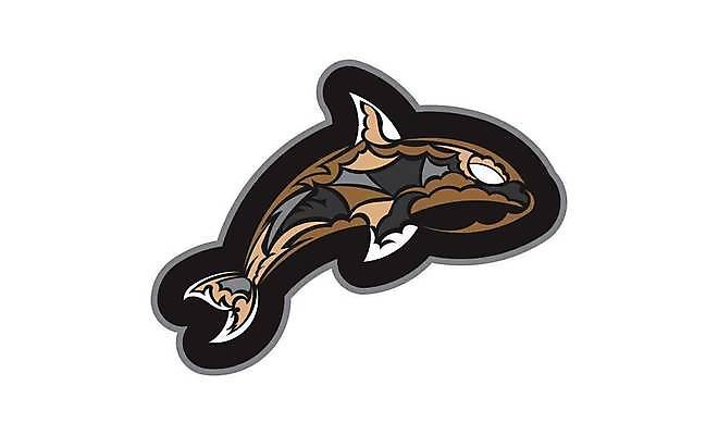 EPS 해외이미지 한마리 일러스트 사람없음 갈색 돌고래 디테일 해외일러스트 1 컬러 포유류 수중동물 파일형식 벡터 이미지허브