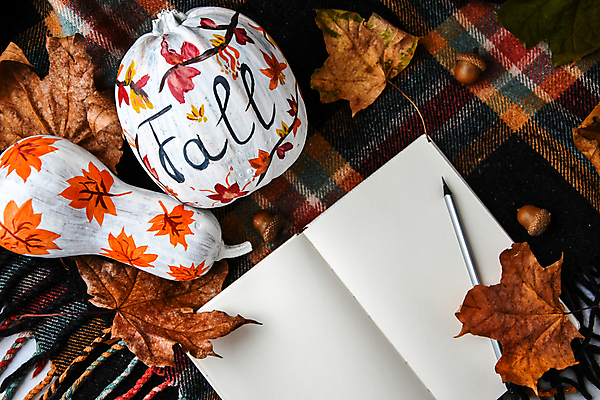 포토 JPG 해외이미지 낙엽 자연 호박 사람없음 장식 펜 공책 시골 카피스페이스 해외포토 잎 채소 문구용품 필기구 공백 생태계 파일형식 이미지허브