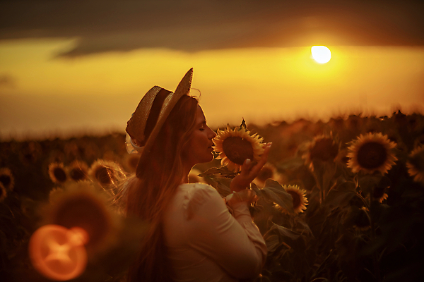 포토 JPG 해외이미지 여자 꽃밭 해바라기 한명 풍경 상반신 성인 야외 옆모습 여름 일몰 소프트포커스 밀짚모자 냄새 성인여자한명만 해외포토 모자_잡화 1 계절 꽃 뷰포인트 촬영기법 사람 노을 여자한명만 성인여자만 파일형식 이미지허브
