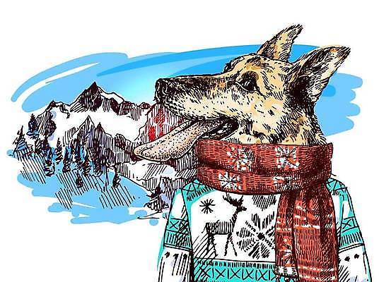 EPS 해외이미지 동물 손 디자인 행복 포스터 얼굴 백그라운드 크리스마스 겨울 일러스트 스키 새해 산 미술 그래픽 반려동물 머리 수확 신용카드 개 강아지 인쇄 시원함 스케치 혀 스웨터 심볼 오브젝트 활 그림 복고 비전 불독 2018년 고립 기르기 광학 스타일 힙스터 해외일러스트 계절 패션 기념일 감정 상의 농업 포유류 문화예술 겨울스포츠 신체부위 금융 입 연도 돌봄 파일형식 벡터 이미지허브