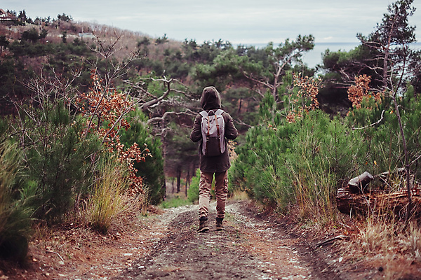 포토 JPG 해외이미지 나무 백인 1 라이프스타일 여자 길 여행 배낭 자연 건강 한명 사람 야외 목재 초록색 여행객 걷기 봄 트래킹 하이킹 가을 소나무 숲 오솔길 하이커 해외포토 서양인 식물 계절 컬러 가방 재료 모션 레저 생활 생태계 파일형식 이미지허브