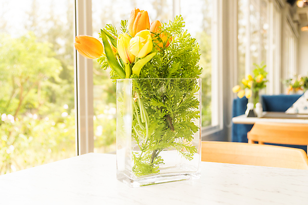 포토 JPG 해외이미지 식물 디자인 꽃 꽃다발 백그라운드 꽃무늬 탁자 주택 사람없음 내부 장식 초록색 컬러풀 꽃병 방 수확 흰색 냄비 플라스틱 리빙 인공 해외포토 컬러 가구 무늬 농업 재질 건물 솥 파일형식 이미지허브