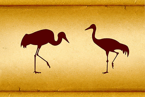 포토 JPG 해외이미지 동물 종이 백그라운드 패턴 자연 조류 표면 추상 프레임 사람없음 책 물 노란색 쪽지 공백 손상 수확 덮개 점 얼룩 거친 균열 실 기중기 질감 문서 복고 캔버스 먼지 페이지 고정 찢어짐 구김 구식 그런지 보유 세피아 양피지 옛날 원고 노화 해외포토 자연요소 컬러 컨셉 무늬 농업 모션 촬영기법 뚜껑 중장비 생태계 파일형식 이미지허브