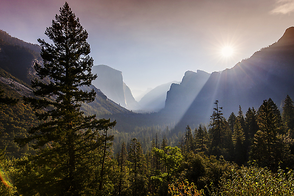 포토 JPG 해외이미지 공원 자연 산 사람없음 캘리포니아 요세미티국립공원 해외포토 공공시설 국립공원 미국 생태계 파일형식 이미지허브