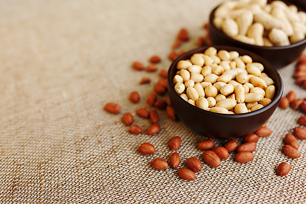 포토 JPG 해외이미지 실내 사람없음 담기 땅콩 갈색배경 해외포토 백그라운드 모션 내부 갈색 견과류 파일형식 이미지허브