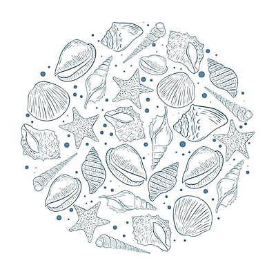 EPS 해외이미지 동물 모델 템플릿 디자인 배너 실루엣 야생동물 바다 여행 백그라운드 일러스트 조개 프레임 나선형 해변 그래픽 장식 물 여름 파란색 수중 수확 껍질 흰색 원형 스케치 가득함 심볼 해산물 달팽이 기념품 손그림 닦기 판화 이국적 해외일러스트 자연요소 도형 계절 컬러 무늬 농업 모션 어패류 연체동물 촬영기법 미술 오브젝트 파일형식 벡터 이미지허브