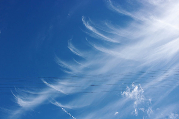 포토 JPG 해외이미지 주간 자연 하늘 사람없음 야외 맑음 해외포토 자연요소 날씨 생태계 파일형식 이미지허브