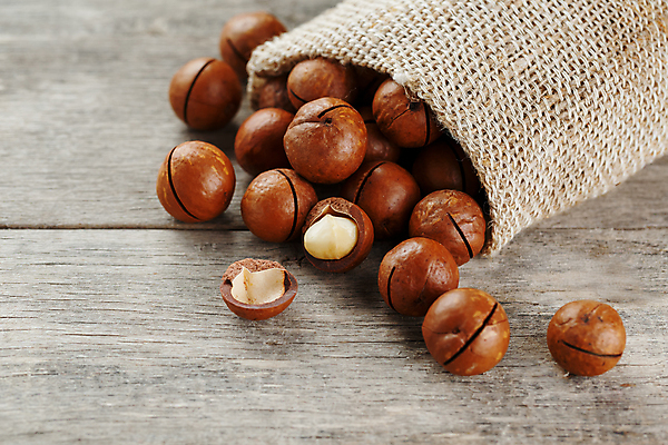 포토 JPG 해외이미지 사람없음 쏟아짐 포대자루 마카다미아 나무배경 해외포토 백그라운드 모션 견과류 자루 파일형식 이미지허브