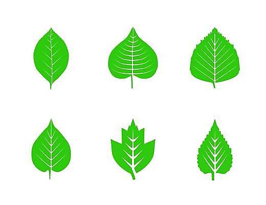 EPS 해외이미지 모양 나무 식물 템플릿 디자인 꽃 줄기 백그라운드 컨셉 단풍 잎 꽃무늬 일러스트 회사 자연 추상 아이디어 건강 그래픽 장식 초록색 세트 새싹 환경 재활용 성장 나뭇가지 작음 수집 심볼 사인 에코 유기농 신분 내추럴 고립 바이오 생태학 엘리먼트 해외일러스트 웰빙 교육 컬러 무늬 비즈니스 크기 친환경 생태계 파일형식 벡터 이미지허브