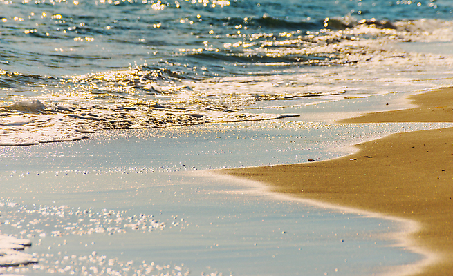 포토 JPG 해외이미지 모래 파도 바다 여행 백그라운드 자연 조류 표면 날씨 휴가 휴식 해변 사람없음 물 여름 빛 햇빛 뷰티 반사 거품 에너지 흰색 만 뜨거움 서핑 황금 닫기 떨어짐 매끈함 질감 웨이브 남쪽 석호 내추럴 파라다이스 해외포토 자연요소 동물 계절 컬러 컨셉 모션 태양 수상스포츠 감각 방향 생태계 파일형식 이미지허브