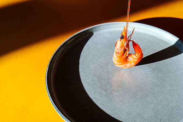 포토 JPG 해외이미지 접시 새우 실내 그림자 사람없음 미니멀 해외포토 식기 갑각류 내부 파일형식 이미지허브