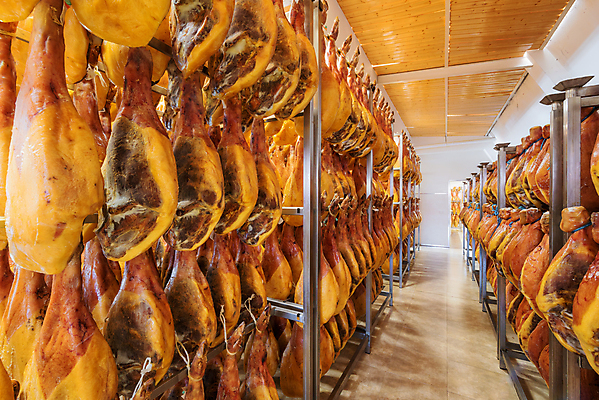 포토 JPG 해외이미지 전통 산업 문화 음식 백그라운드 재료 공장 건조 매달리기 육류 돼지고기 요리 사람없음 빨간색 식사 시골 돼지 팔레트 스페인 맛 자르기 지중해 창고 햄 날것 모음 보유 스페인어 식품점 안달루시아 지하실 치유 맛있는 해외포토 유럽 바다 컬러 컨셉 식재료 포유류 공업 모션 상점 파일형식 이미지허브