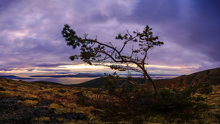 포토 JPG 해외이미지 나무 공원 호수 여행 백그라운드 자연 하늘 산 파노라마 사람없음 야외 목재 물 파란색 강 뷰티 일몰 하이킹 안개 시골 소나무 숲 언덕 러시아 북쪽 내추럴 산악지대 절정 해외포토 자연요소 식물 공공시설 유럽 컬러 재료 레저 날씨 촬영기법 노을 방향 생태계 파일형식 이미지허브