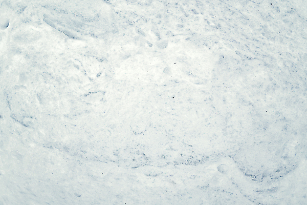 포토 JPG 해외이미지 디자인 계절 백그라운드 크리스마스 겨울 패턴 자연 표면 날씨 추상 사람없음 물 파란색 강 냉동 얼음 추위 흰색 신선 투명 시원함 크리스탈 질감 서리 북쪽 내추럴 냉동고 카피스페이스 해외포토 자연요소 기념일 컬러 무늬 공백 광석 방향 생태계 파일형식 이미지허브