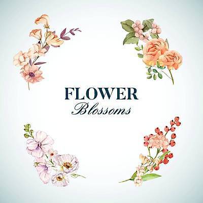 EPS 해외이미지 열매 꽃 하늘색 잎 일러스트 프레임 사람없음 분위기 손그림 감성 해외일러스트 식물 컨셉 파란색 파일형식 벡터 이미지허브