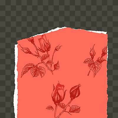 EPS 해외이미지 식물 템플릿 디자인 꽃 분홍색 백그라운드 일러스트 비즈니스 잉크 프레임 사랑 미술 그래픽 세트 장미 유행 검은색 쪽지 수확 화려 메시지 산호 스케치 그림 진열장 페이지 팩 판화 시트 리빙 마케팅 소셜 소셜네트워크 포트폴리오 디테일 해외일러스트 감정 컬러 컨셉 농업 문화예술 화장품 자포동물 파일형식 벡터 이미지허브