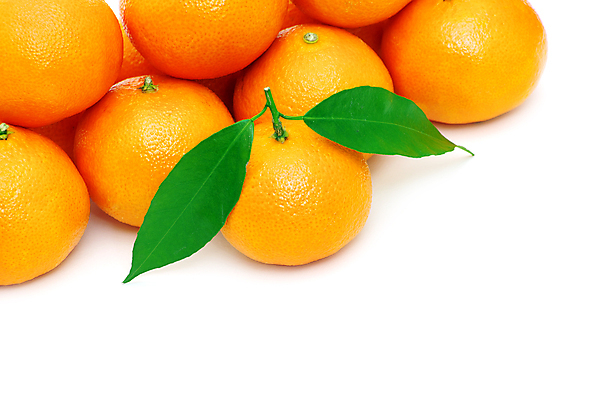 포토 JPG 해외이미지 귤 실내 사람없음 여러개 흰배경 해외포토 다수 백그라운드 과일 내부 흰색 파일형식 이미지허브