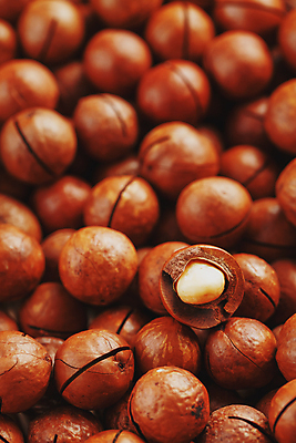 포토 JPG 해외이미지 단면 실내 사람없음 갈색 가득함 많음 마카다미아 해외포토 컬러 컨셉 내부 견과류 파일형식 이미지허브