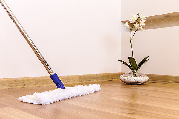 포토 JPG 해외이미지 직업 꽃 가사 가정 바닥 주택 털 실내 손잡이 사람 사람없음 내부 일상 목재 갈색 꽃병 장비 금지 붓 업무 지저분함 빨래 쓰레기 빗자루 청소 서비스 먼지 대걸레 돌봄 위생관리 파케트 해외포토 나무 식물 컬러 재료 모션 관리 건물 라이프 작업 감각 청소도구 파일형식 이미지허브