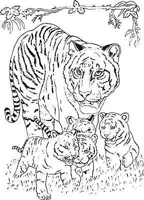 EPS 해외이미지 동물 캐릭터 디자인 종이 지구 야생동물 어린이 바다 백그라운드 지도 일러스트 포유류 간판 털 미술 책 빨간색 장난감 고양이 분노 아기 직물 이름 호랑이 인쇄 만화 심볼 육식동물 브라질 공격적 마스코트 해외일러스트 일러캐릭터 감정 컬러 컨셉 문화예술 사람 반려동물 남아메리카 파일형식 벡터 이미지허브