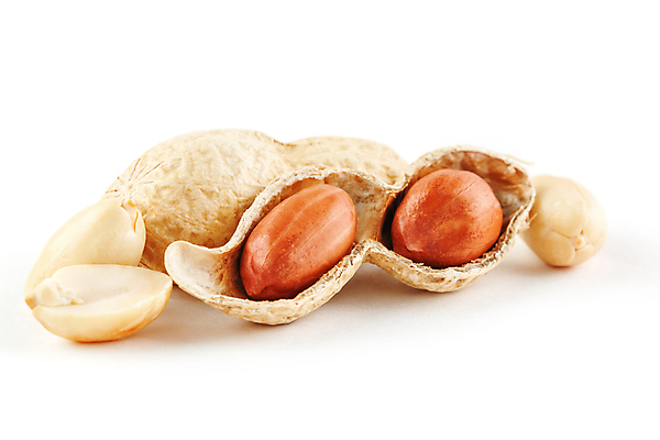 포토 JPG 해외이미지 실내 사람없음 흰배경 땅콩 땅콩껍질 해외포토 백그라운드 내부 견과류 껍질 흰색 파일형식 이미지허브