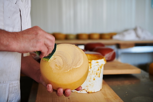 포토 JPG 해외이미지 손 공장 노동자 치즈 들기 아웃포커스 신체부위 잡기 제조 만들기 닦기 작업대 전통방식 해외포토 직업 전통 공업 모션 유제품 촬영기법 사람 파일형식 이미지허브