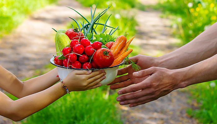 포토 JPG 해외이미지 식물 손 배너 음식 백그라운드 농업 토마토 채소 과일 자연 건강 사람 사람없음 야외 초록색 농작물 상자 농장 바구니 정원 당근 수확 성장 신선 잡기 농부 상추 수집 먹기 유기농 원예 날것 후추 내추럴 숙성 원예사 채식주의자 카피스페이스 세련 해외포토 직업 웰빙 산업 컬러 모션 뿌리채소 취미 신체부위 공백 향신료 생태계 채식 파일형식 이미지허브