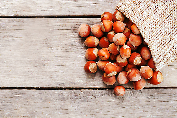 포토 JPG 해외이미지 사람없음 견과류 삼베 쏟아짐 헤이즐넛 해외포토 모션 파일형식 천_직물 이미지허브