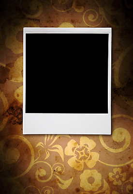 포토 JPG 해외이미지 디자인 꽃 백그라운드 컨셉 잎 패턴 일러스트 미술 사람없음 그래픽 장식 갈색 수확 흰색 점 메시지 우아함 제비꽃 질감 복고 그런지 엘리먼트 옛날 스타일 해외일러스트 식물 컬러 무늬 농업 문화예술 파일형식 이미지허브