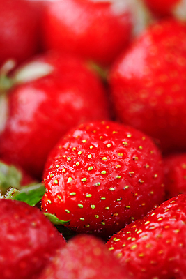 포토 JPG 해외이미지 딸기 근접촬영 사람없음 아웃포커스 해외포토 뷰포인트 과일 촬영기법 파일형식 이미지허브