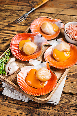 포토 JPG 해외이미지 음식 바다 백그라운드 자연 탁자 조개 연체동물 건강 육류 어류 요리 사람없음 목재 검은색 껍질 흰색 신선 고급 해산물 날것 가리비 여왕 생식 식품점 해외포토 나무 컬러 가구 컨셉 식재료 재료 어패류 무척추동물 상점 수중동물 생태계 파일형식 이미지허브