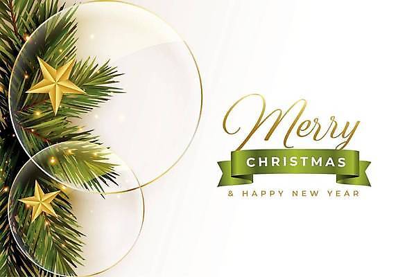 EPS 해외이미지 배너 별 백그라운드 잎 크리스마스 겨울 일러스트 이벤트 사람없음 반짝임 원형 카피스페이스 해외일러스트 자연요소 도형 식물 계절 기념일 모션 공백 파일형식 벡터 이미지허브