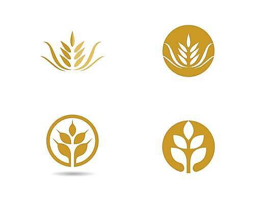 EPS 해외이미지 식물 디자인 배너 음식 빵 백그라운드 농업 다이어트 일러스트 자연 밥 건조 건강 옥수수 씨앗 농작물 농장 노란색 라벨 수확 성장 흰색 신선 시장 황금 상품 낟알 시리얼 밀 먹기 심볼 사인 유기농 보리 귀 밀가루 스파이크 내추럴 고립 밭일 엘리먼트 귀리 해외일러스트 웰빙 산업 컬러 모션 곡류 프레임 신체부위 가루 생태계 파일형식 벡터 이미지허브